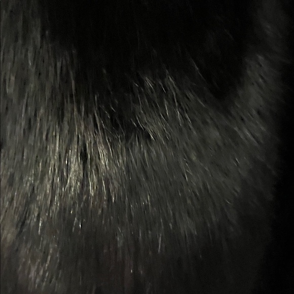 Sophisticated Black Trench Coat with Plush Fur Collar - Picture 10 of 10